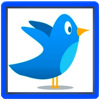 Twit Pro for Twitter HD per iPad