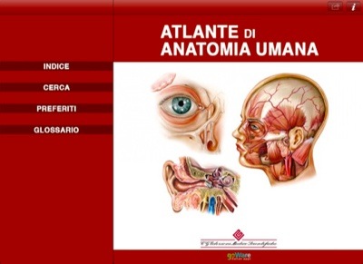 Indice de "Atlante di Anatomia Umana"