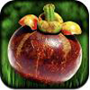 Superfood HD per iPad