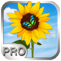 Photo Manager Pro per iPad