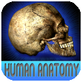 Atlas Of Real Human Anatomy HD per iPad