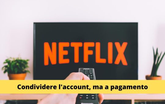 Condivisione Account Netflix