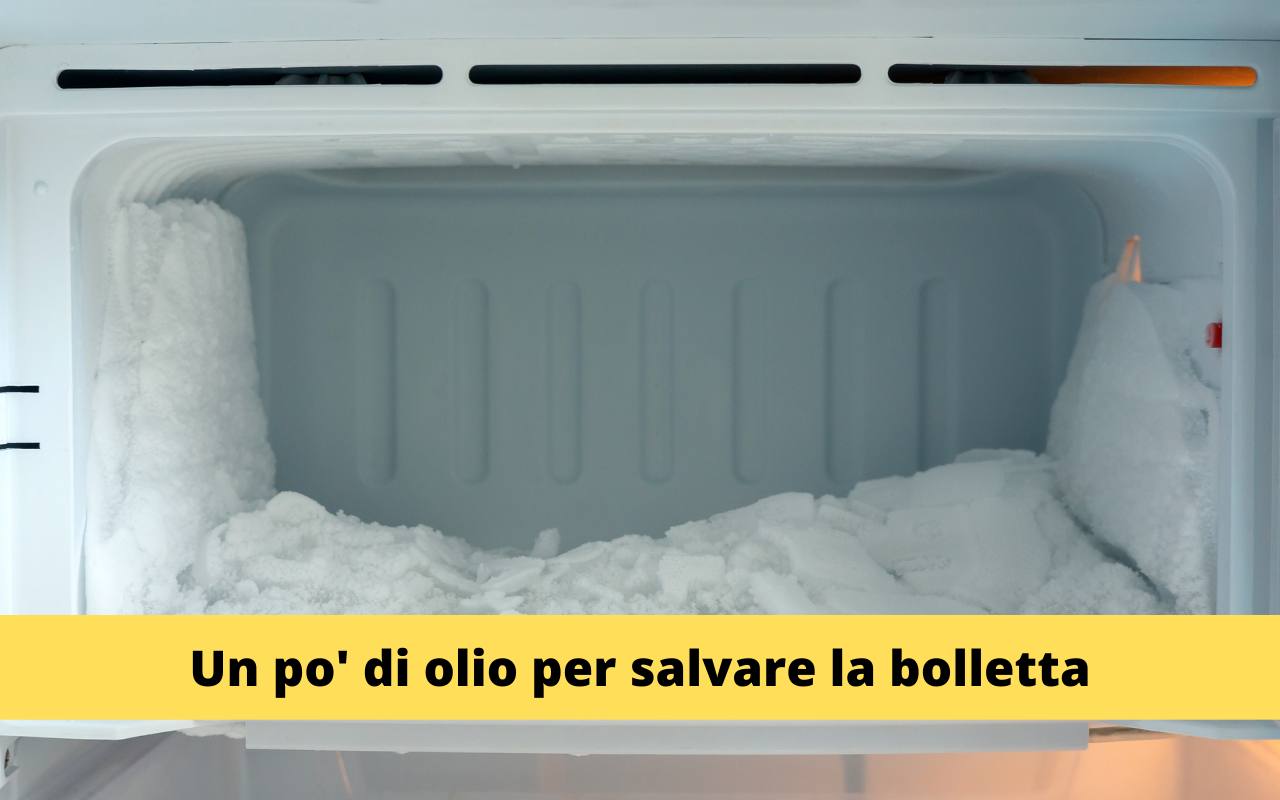 Freezer Congelato