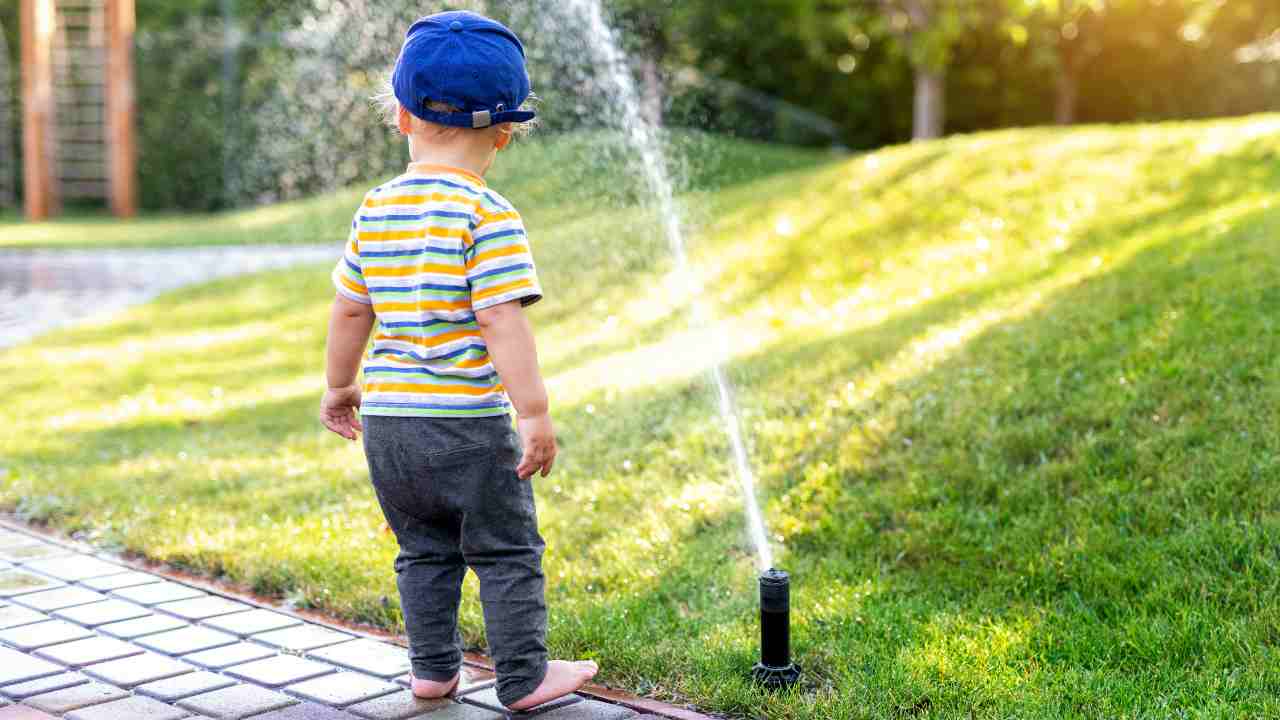 ¿Estás listo para combatir el calor y la sequía?  Con esta herramienta, puede evitar el desperdicio y salvar sus plantas mientras reduce sus facturas a la mitad.