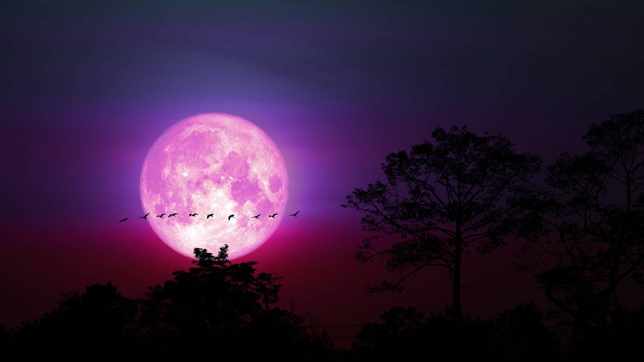 luna rosa nativi americani