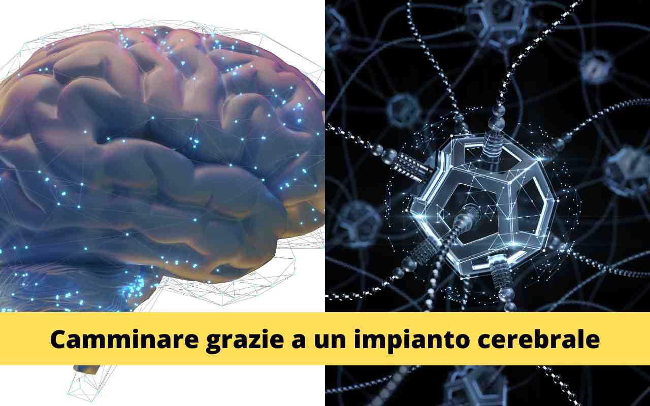 Cervello Connessioni