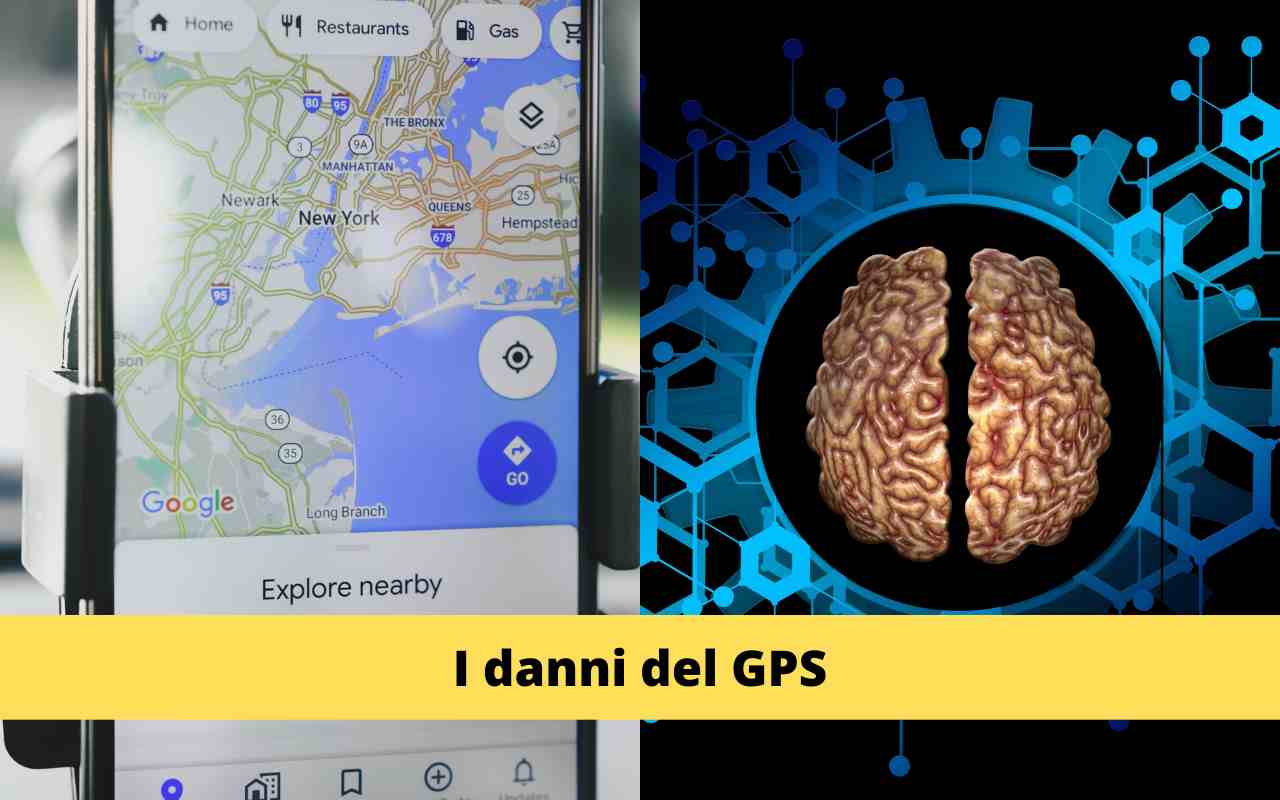 GPS Cervello