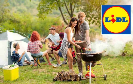 lidl barbecue