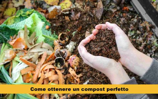 compost ricetta