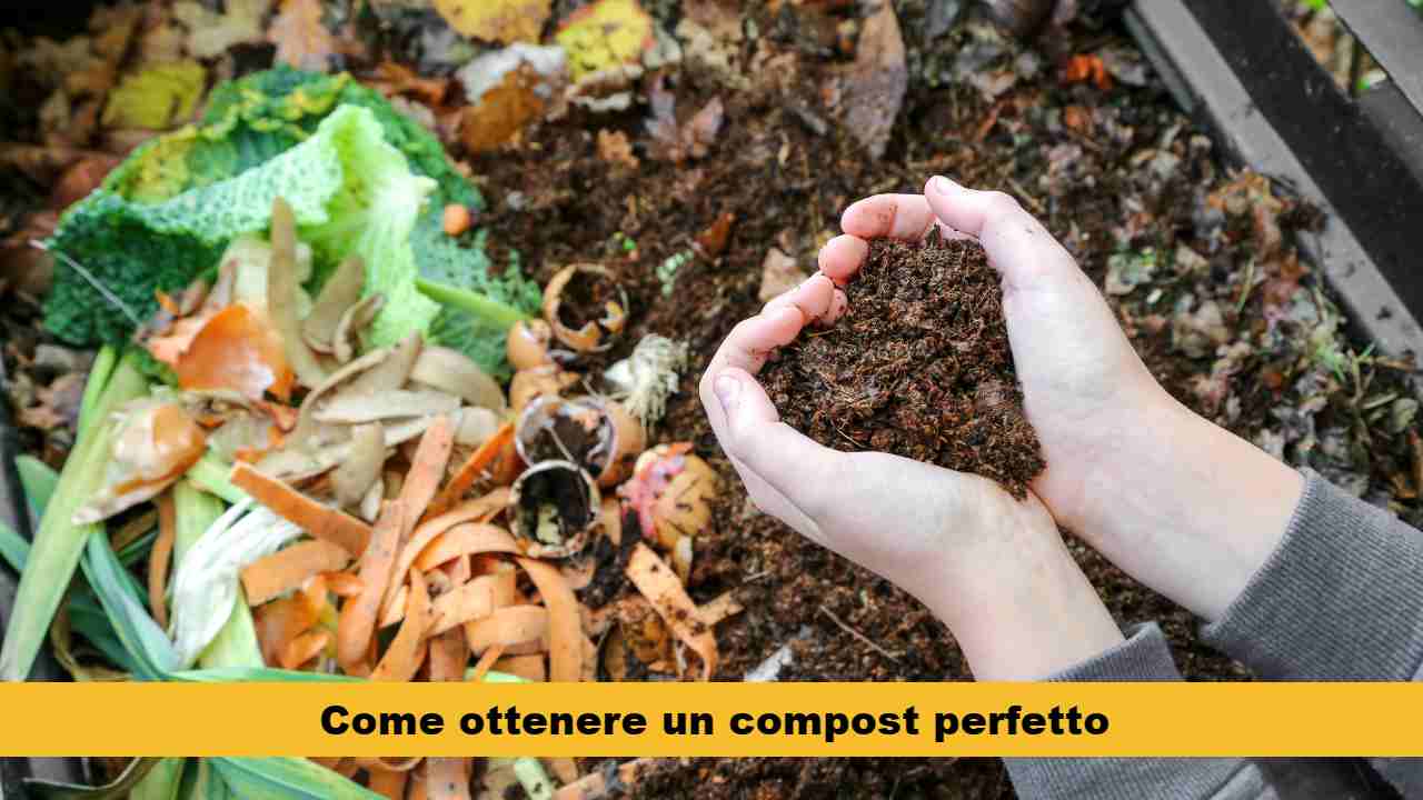 compost ricetta