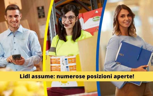 lidl offerte di lavoro