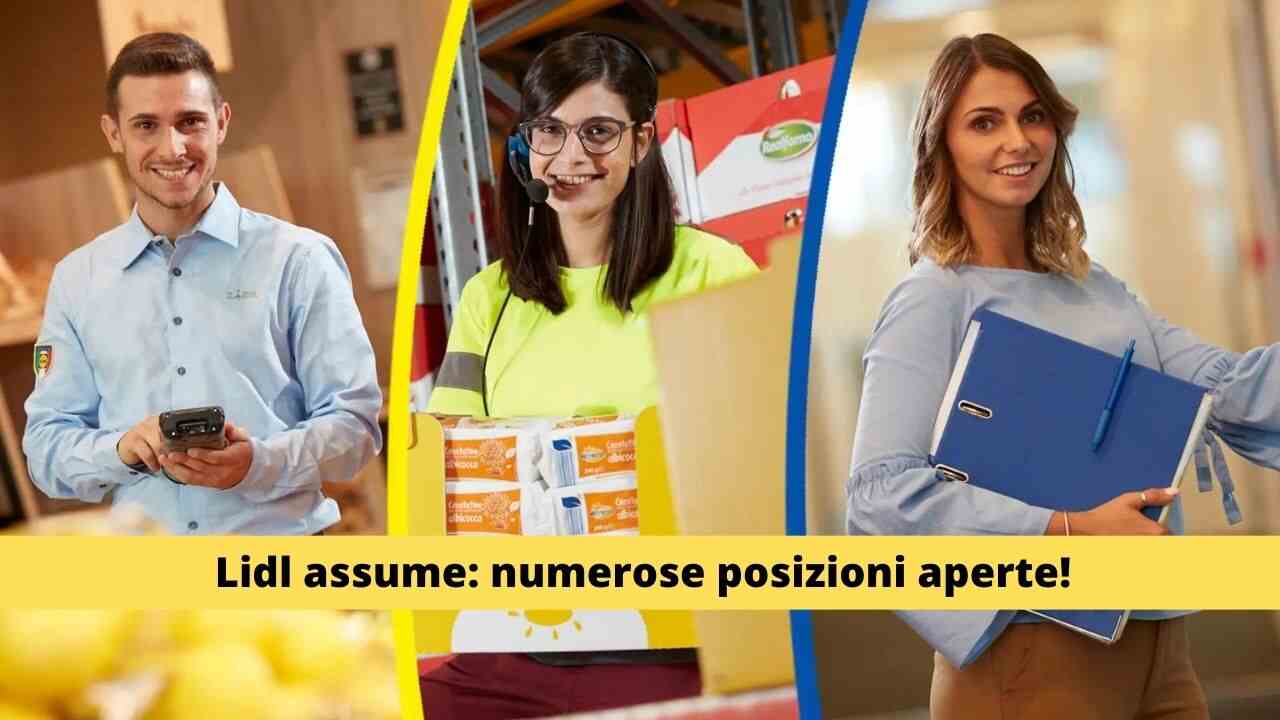 lidl offerte di lavoro