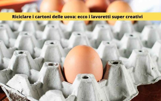 Riciclare il cartone delle uova