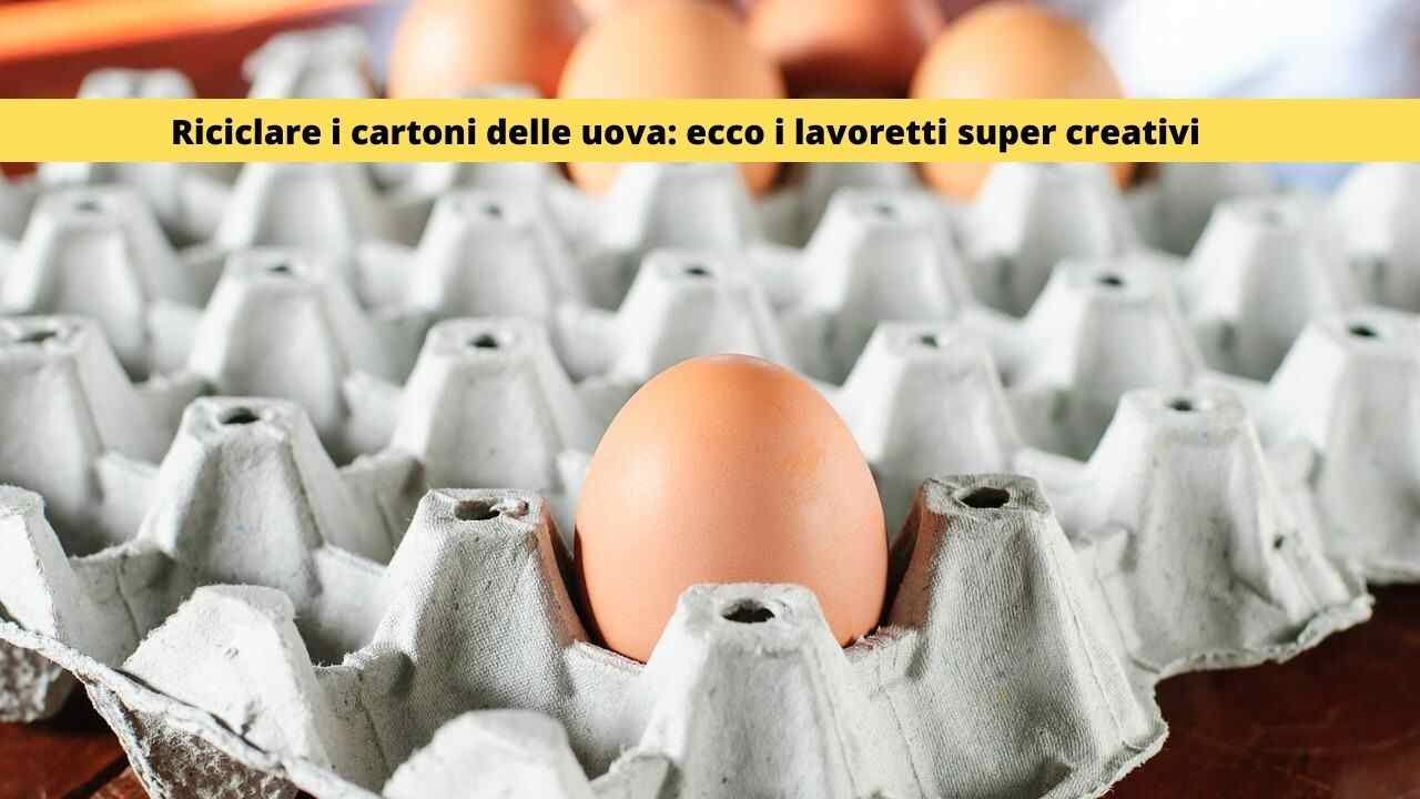 Riciclare il cartone delle uova