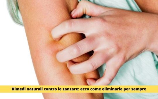 Rimedi naturali contro le zanzare