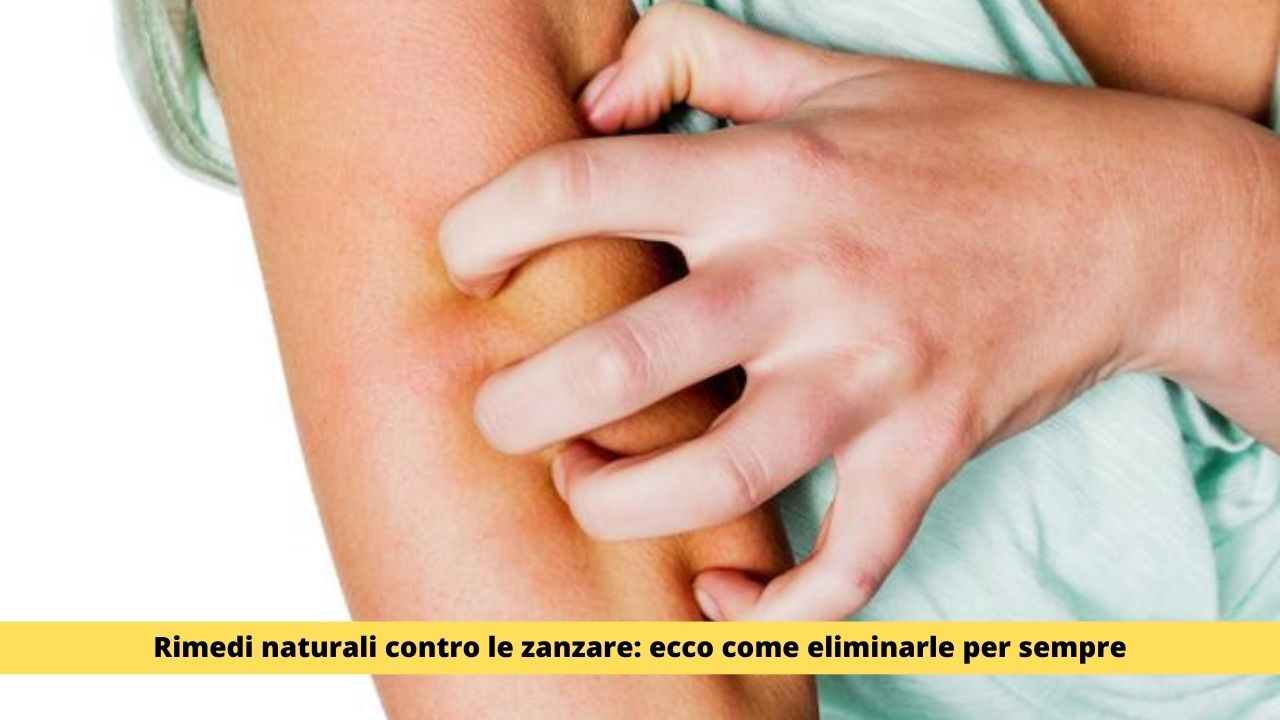 Rimedi naturali contro le zanzare