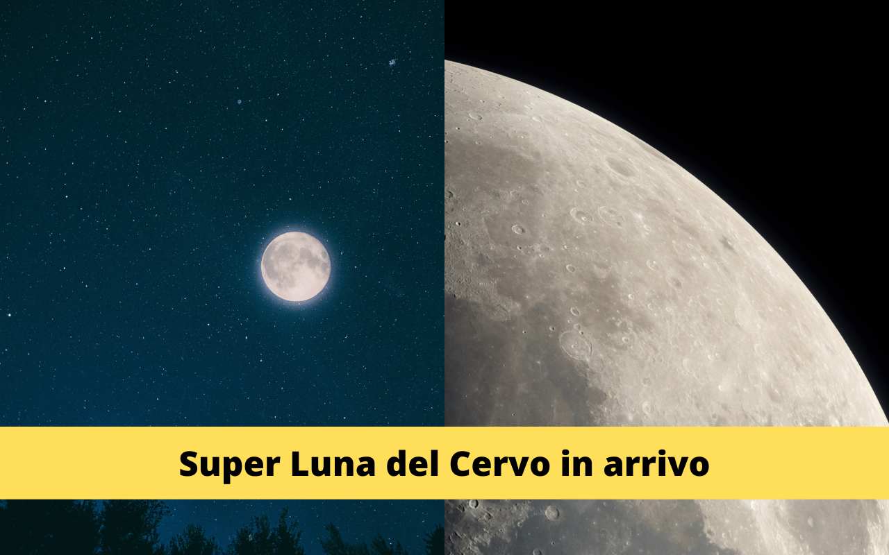 Super Luna Del Cervo