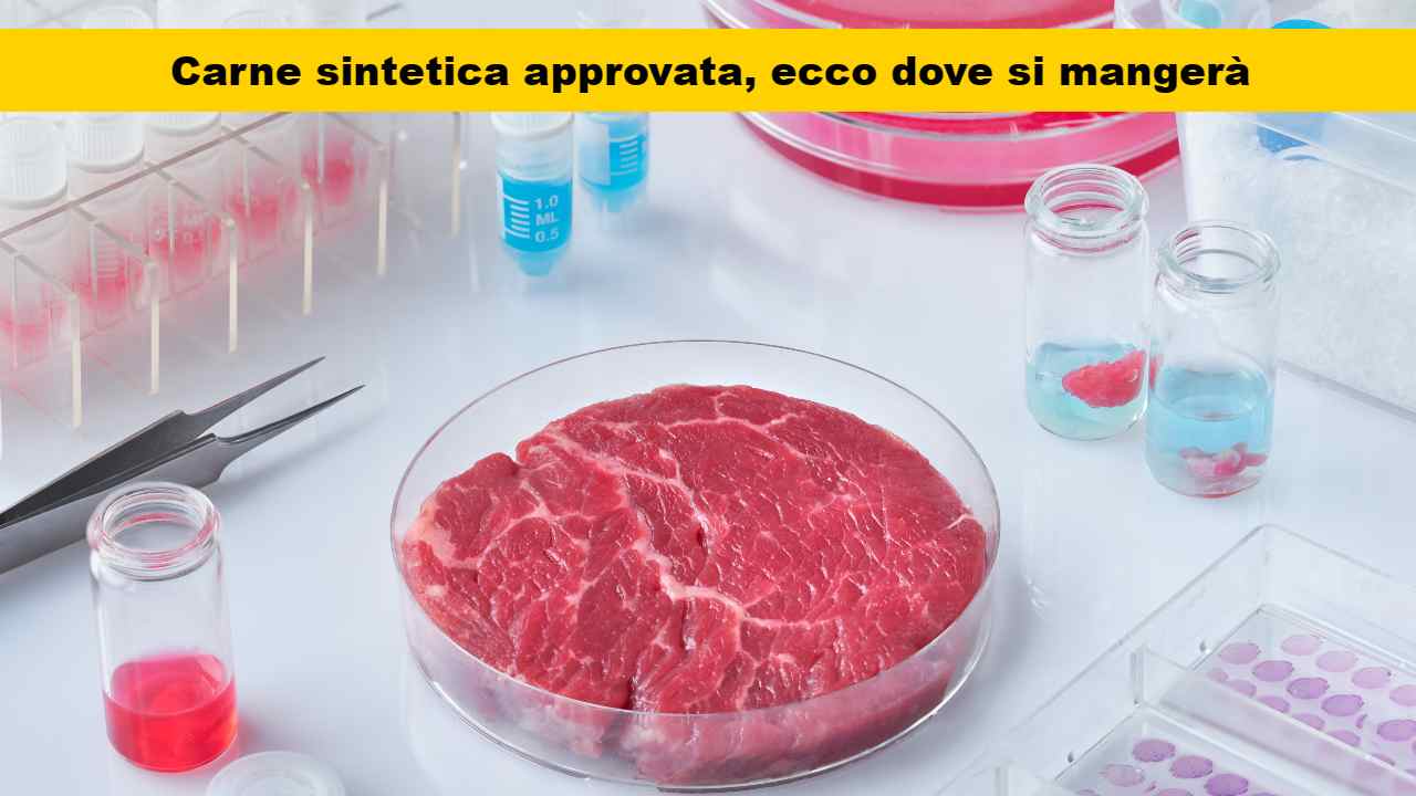 carne laboratorio approvata