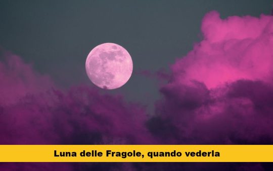 luna fragole