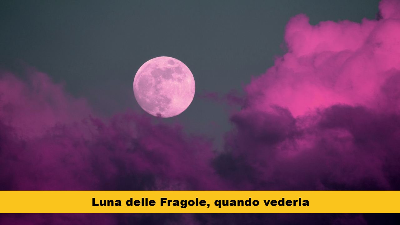 luna fragole