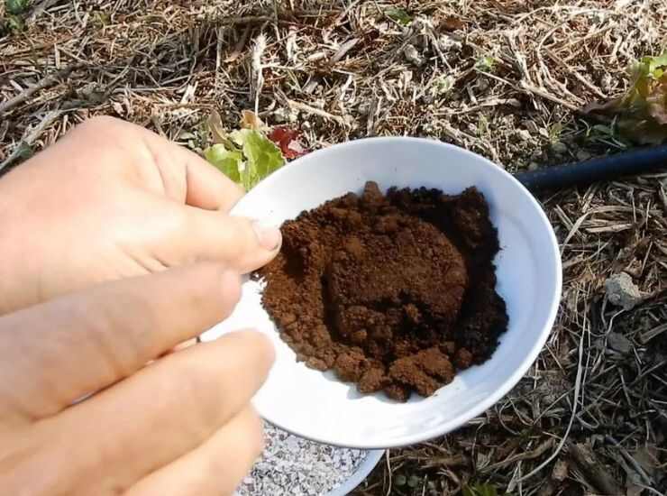 posa di caffè