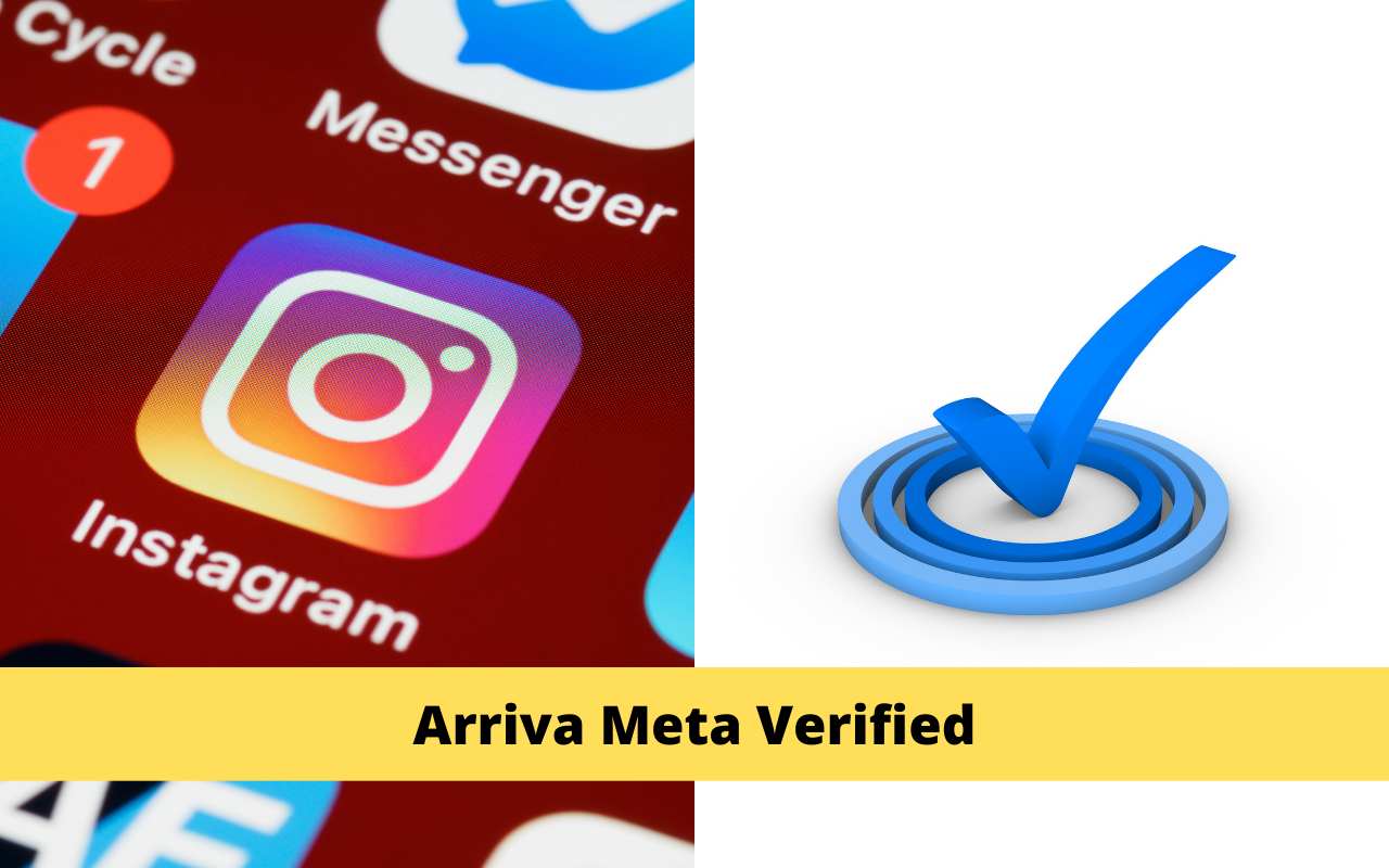 Meta Verified