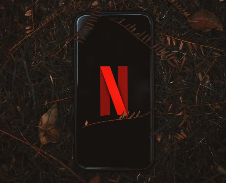 Netflix App