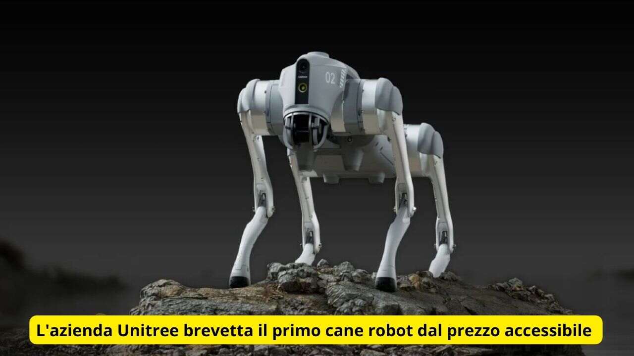 cane robot