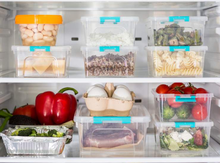 frigo