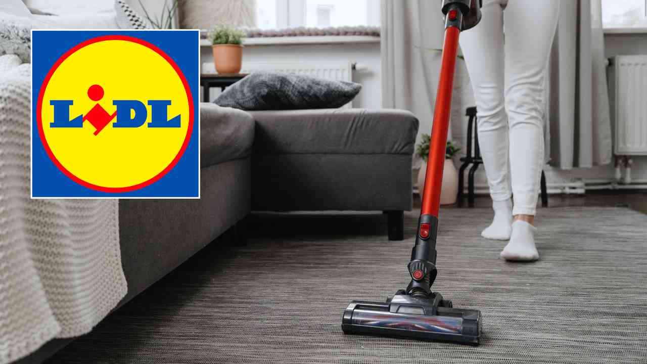 LIDL che genialata: la sua Dyson ora in offerta, con un prezzo così  irrisorio non puoi non averla