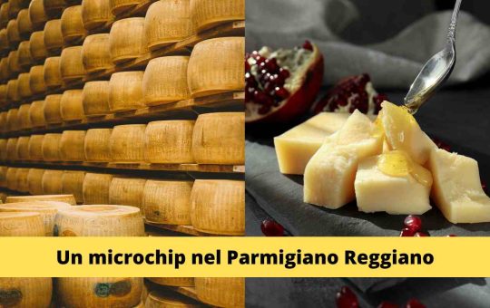 Forme Parmigiano Reggiano