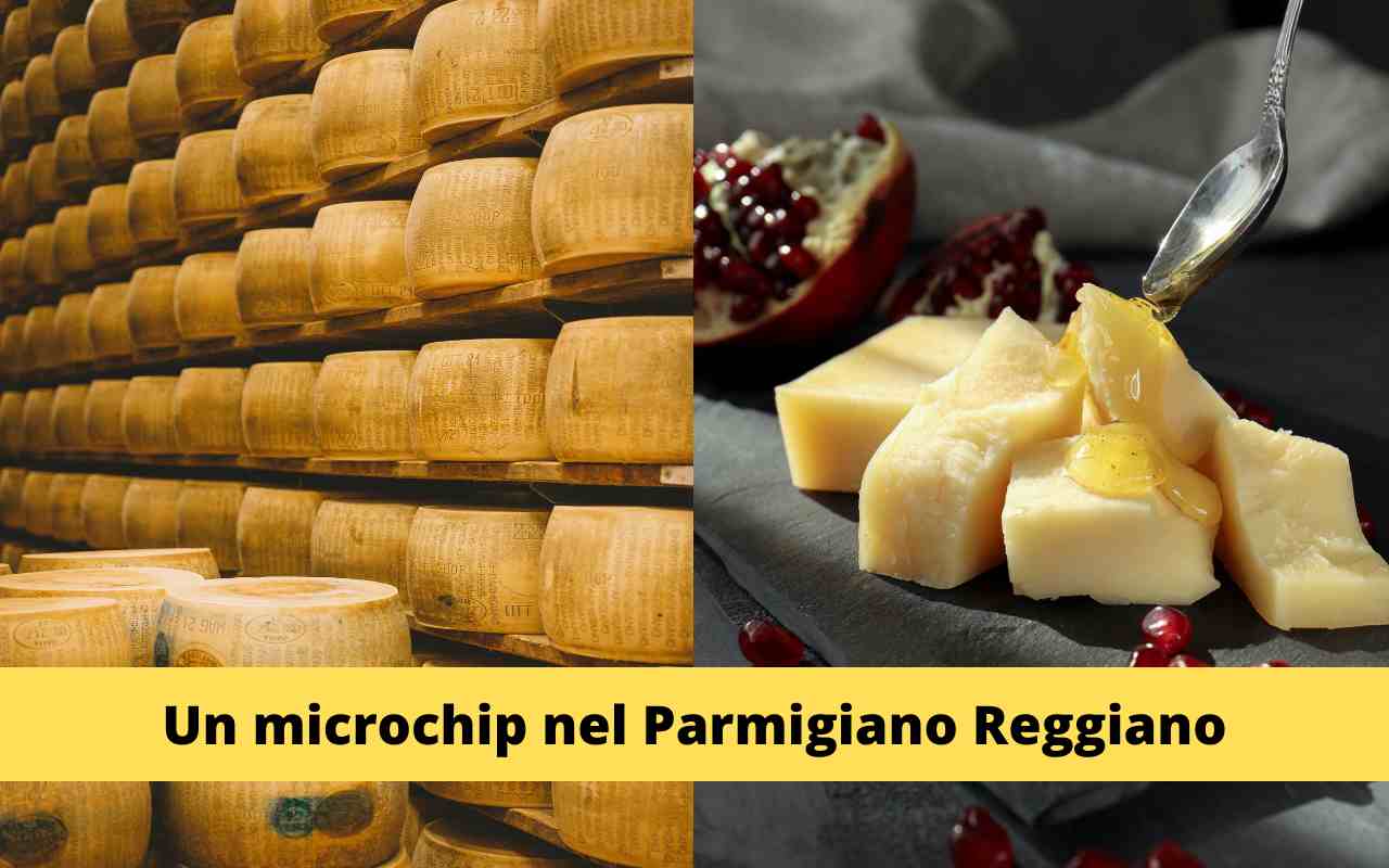Forme Parmigiano Reggiano