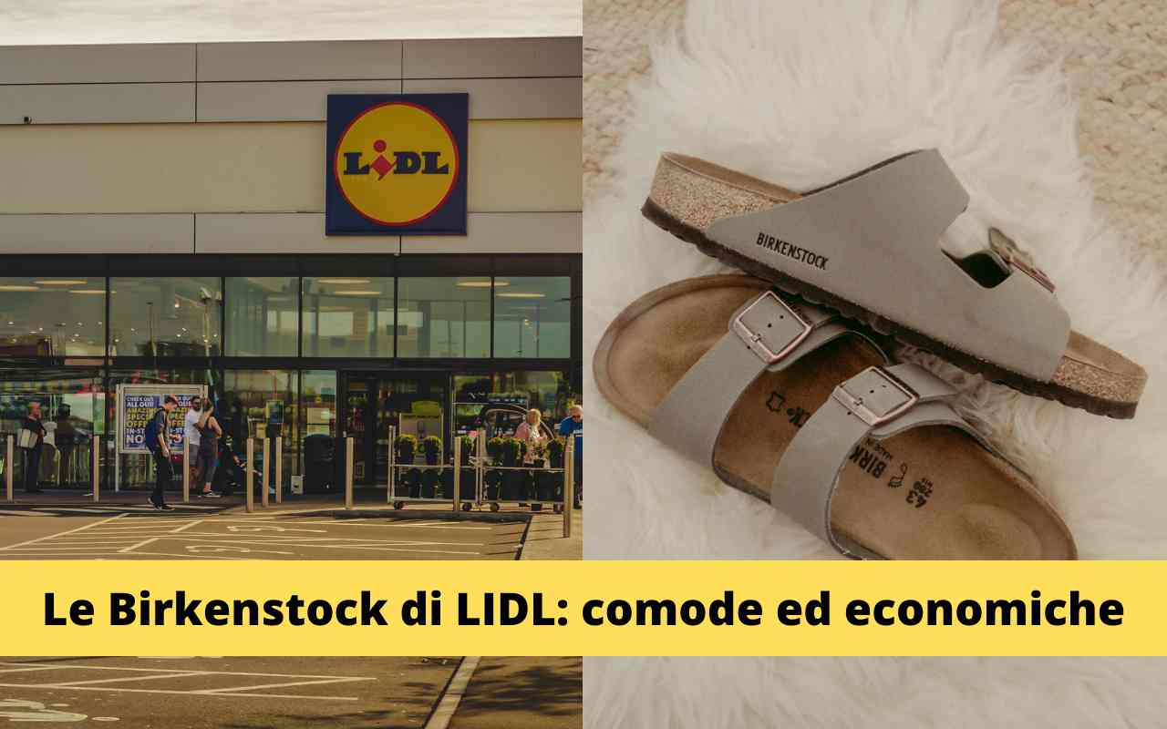 LIDL Birkenstock