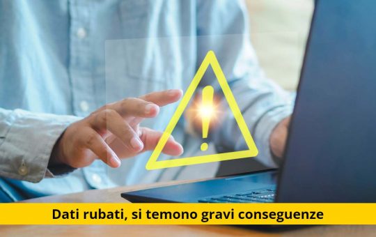 dati duolingo