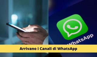 Canali WhatsApp
