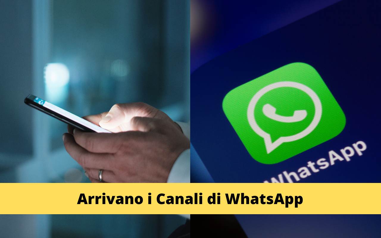 Canali WhatsApp
