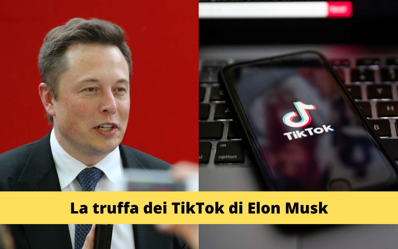 Elon Musk TikTok