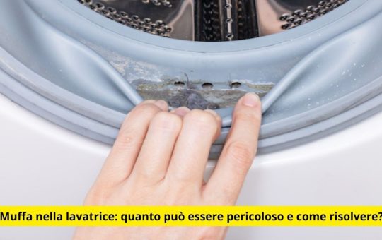 Muffa nella lavatrice quanto può essere pericoloso e come risolvere