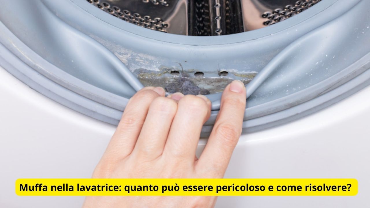 Muffa nella lavatrice quanto può essere pericoloso e come risolvere