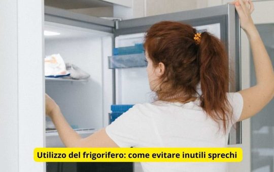 frigorifero come utilizzarlo-2