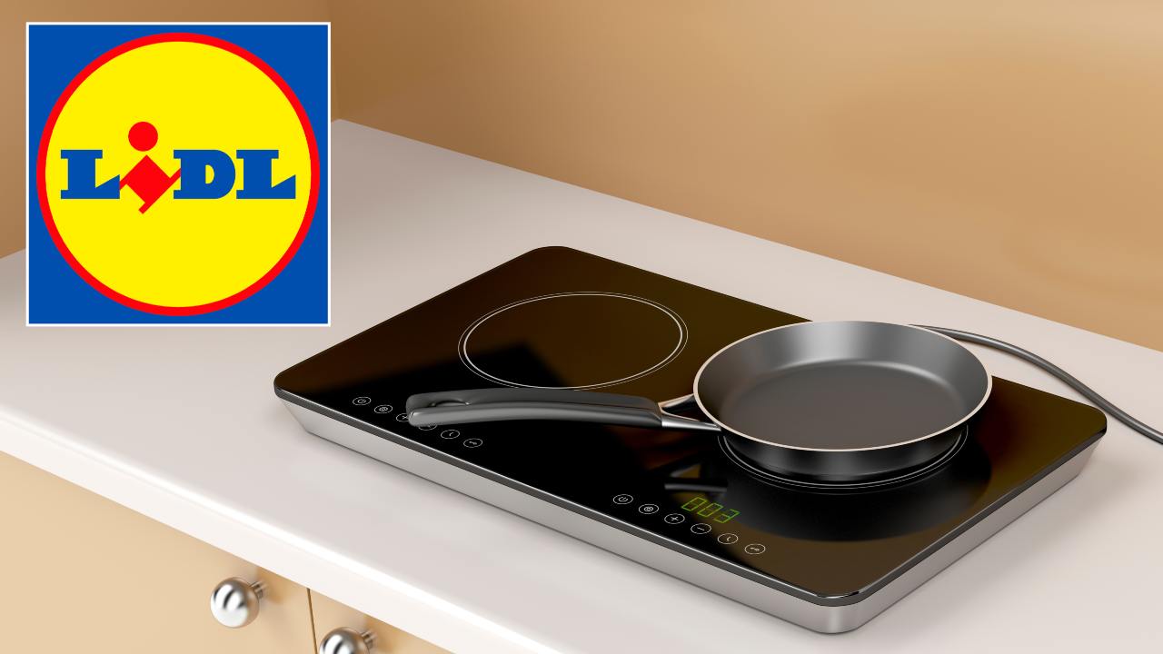 LIDL GET CRAZY: Here comes the kitchen gadget, the double induction hob suitable for restaurants and homes |  energy and low electroabsorption