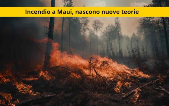 teorie social incendio