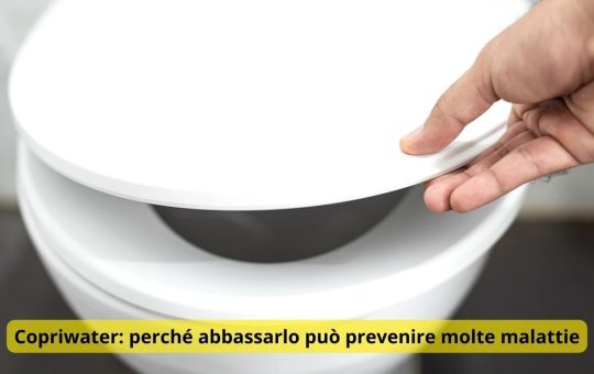 Copriwater perché abbassarlo