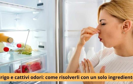 Frigo e cattivi odori