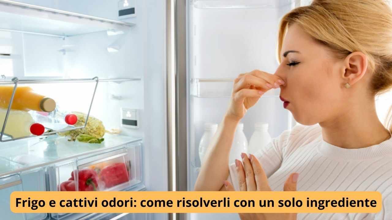 Frigo e cattivi odori 