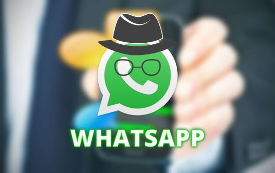 chat whatsapp