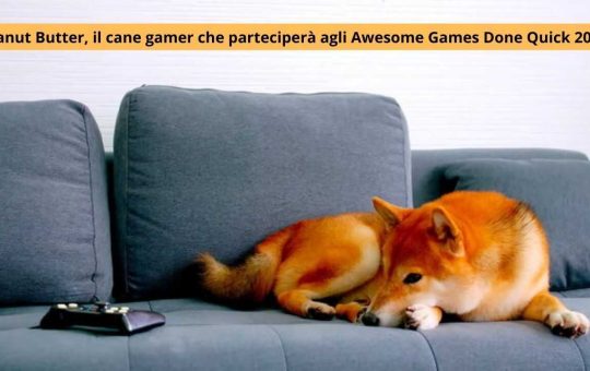 peanut butter, il cane gamer