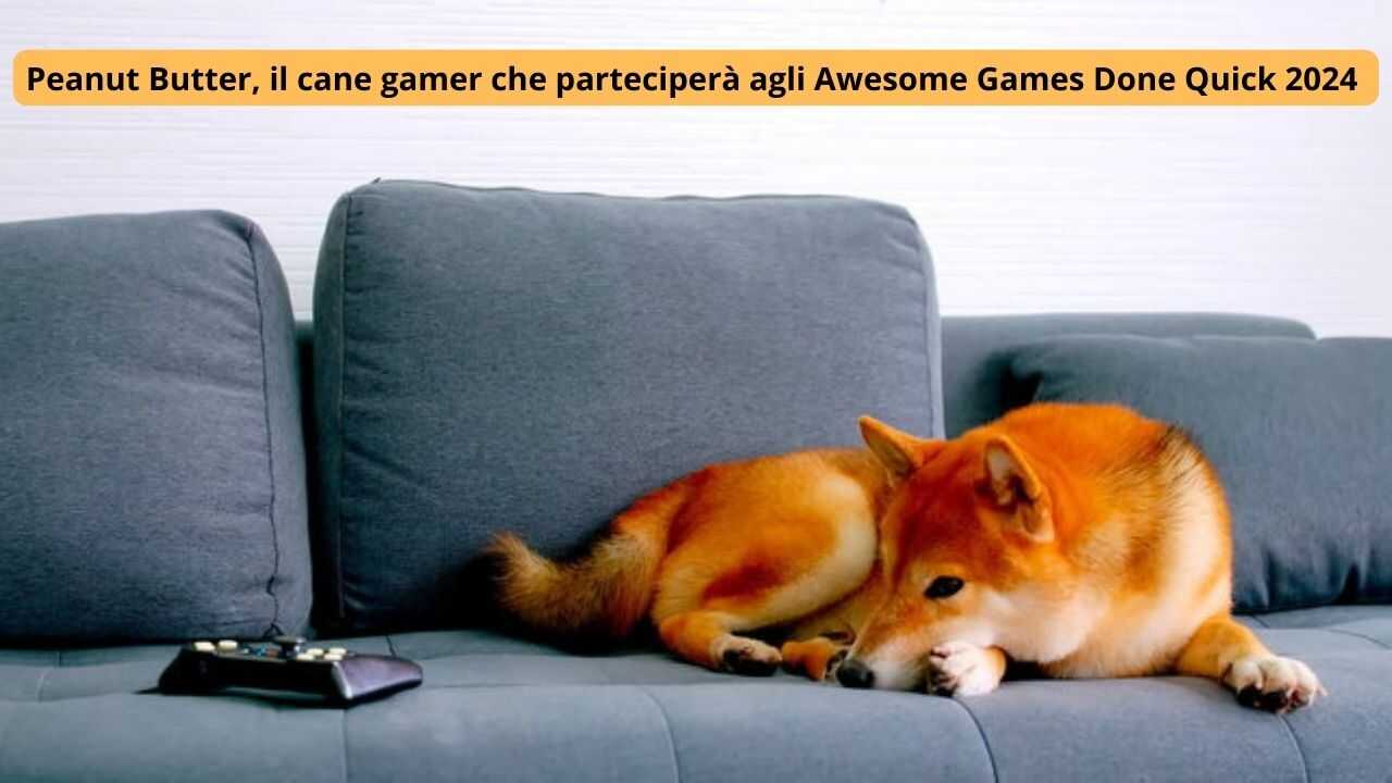 peanut butter, il cane gamer