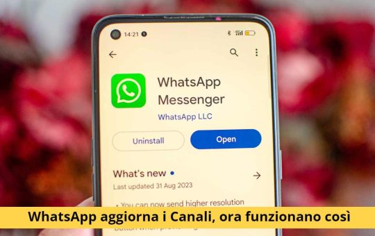 canali whatsapp