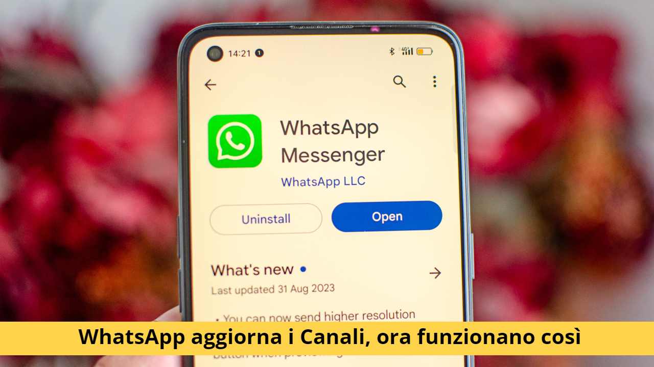 canali whatsapp